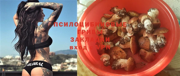 гидропоника Алексин