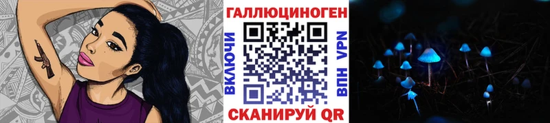 мега маркетплейс где можно купить наркотик Тайшет Псилоцибиновые грибы MAGIC MUSHROOMS